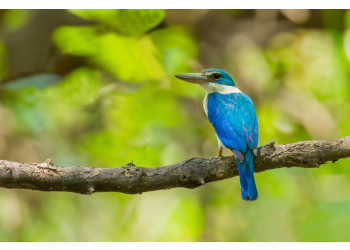 3D2N Mount Kinabalu Climb With Bird Watching + Ferrata Teaser Package 